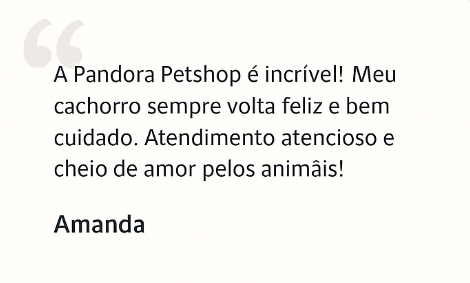 Captura de ecrã 2025-10-08 151503