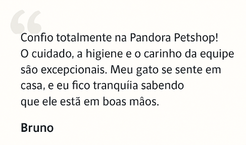 Captura de ecrã 2025-10-08 151557
